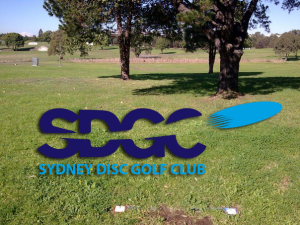 sdgc-hole-4